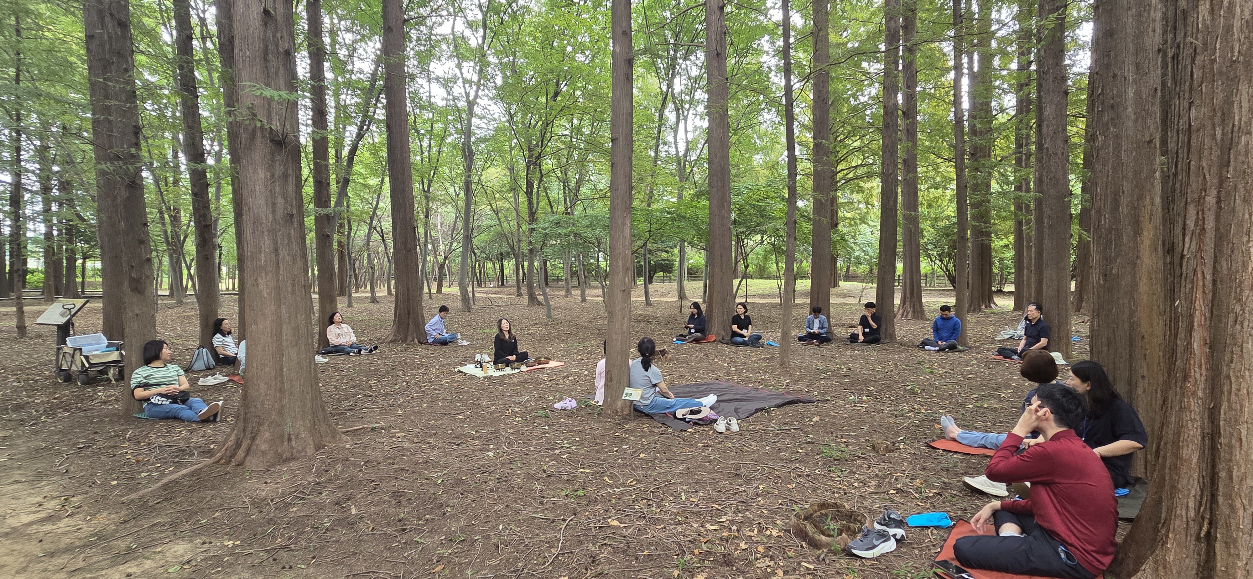 경북천년숲정원 나무 사이에서 진행된 산림치유 프로그램